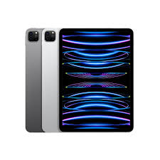 iPad Pro